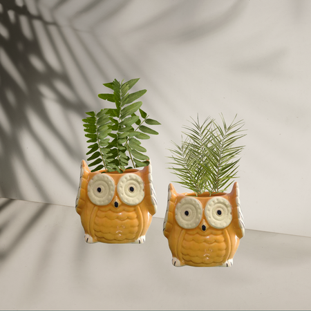The Wise Owl Planter(Setof 2)
