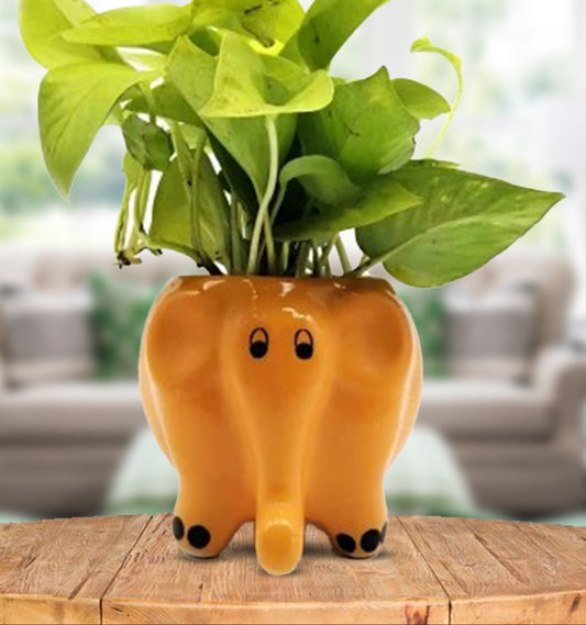 Elephant planter