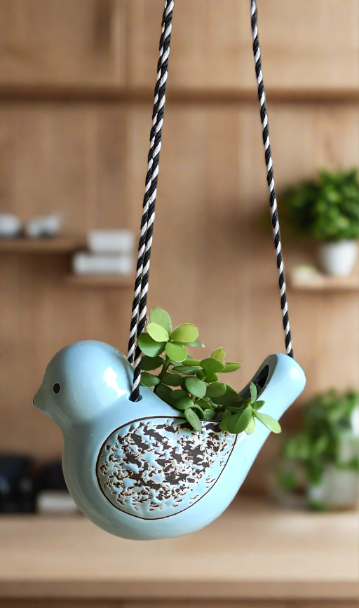 Add a charming touch to your garden with our playful Ceramic Hanging Bird Planter. Perfect for displaying your favorite plants, this quirky bird will bring a smile to your face every day. Let this unique planter liven up your outdoor space!