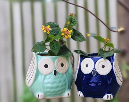 The Wise Owl Planter(Setof 2)