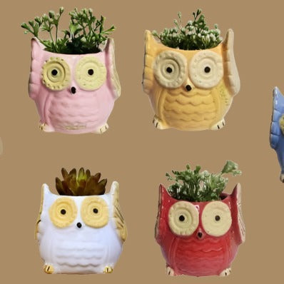The Wise Owl Planter(Setof 2)