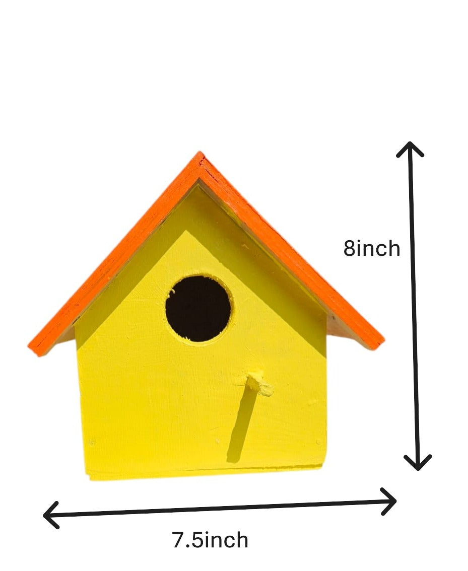 Birdhouse Colourful