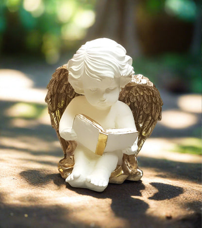 Angel collection