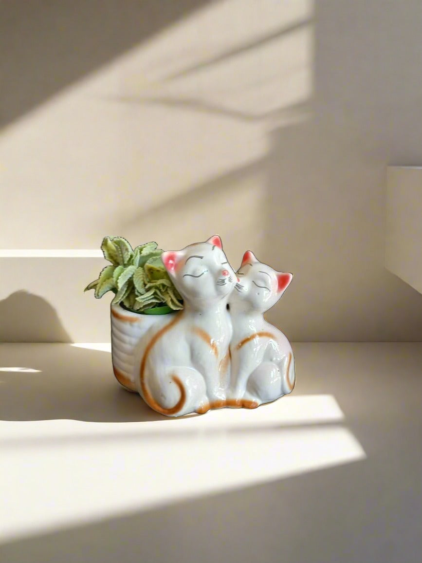 Cutie Cats