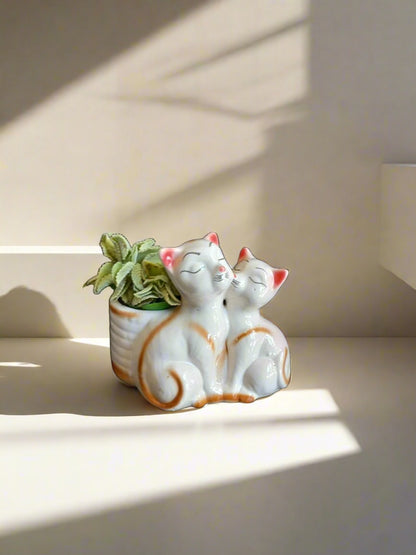Cutie Cats
