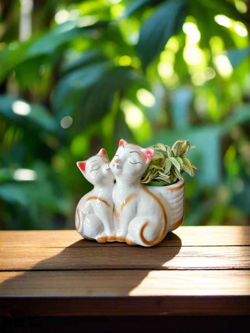 Add some charm to your home with Cutie Cats ceramic pots! These adorable pots not only hold your plants, but also add a touch of whimsy and personality to any room. Perfect for cat lovers and anyone looking to add a little cuteness to their space. Measuring at just the right size, they are perfect for small succulents and herbs. Bring home a little feline fun with Cutie Cats!