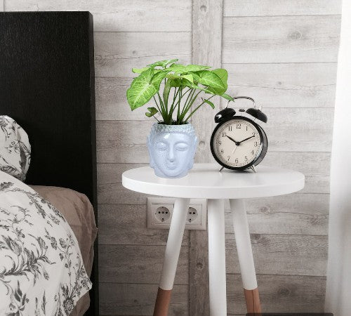 Buddha planter