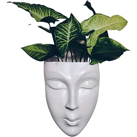 Face planter