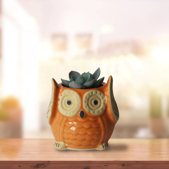 The Wise Owl Planter(Setof 2)