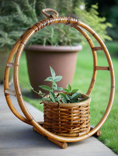 Cane planters 1