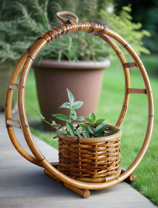 Cane planters 1
