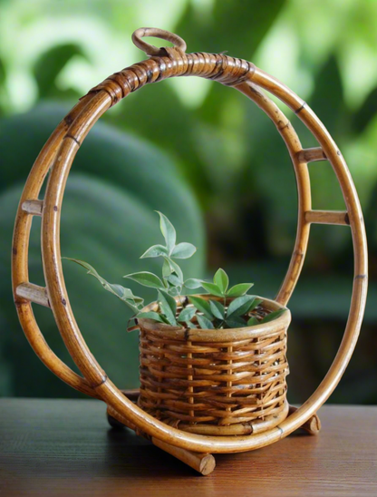 Cane planters 1