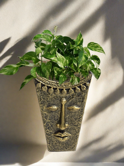 Discover a unique and playful way to add greenery to your walls with our set of two face mask wall planters. These pots are designed in the shape of a face, adding a touch of whimsy to your home decor. Made with durable materials for long-lasting use. Perfect for indoor and outdoor use.