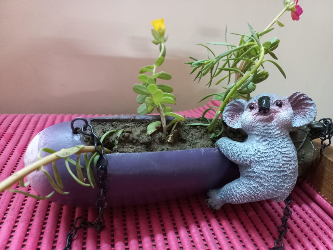 Brinjal Koala hanging pot