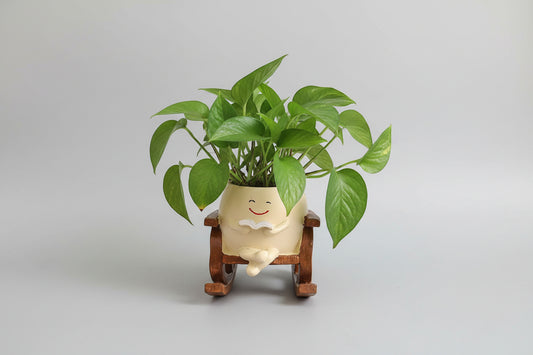 Smiley Chair planter