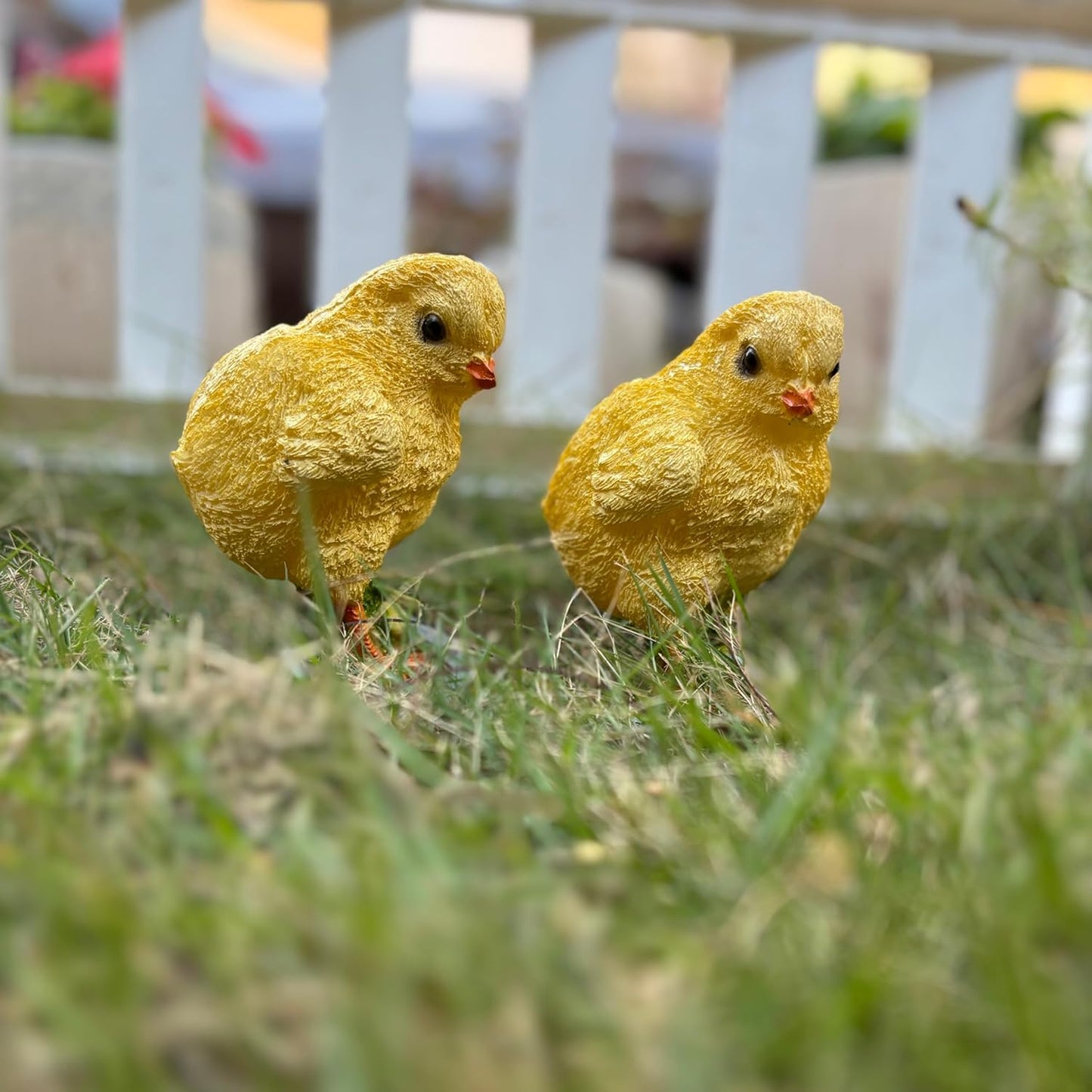 Twin Chicks