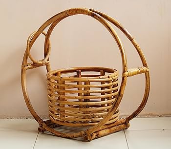 Cane planters 1