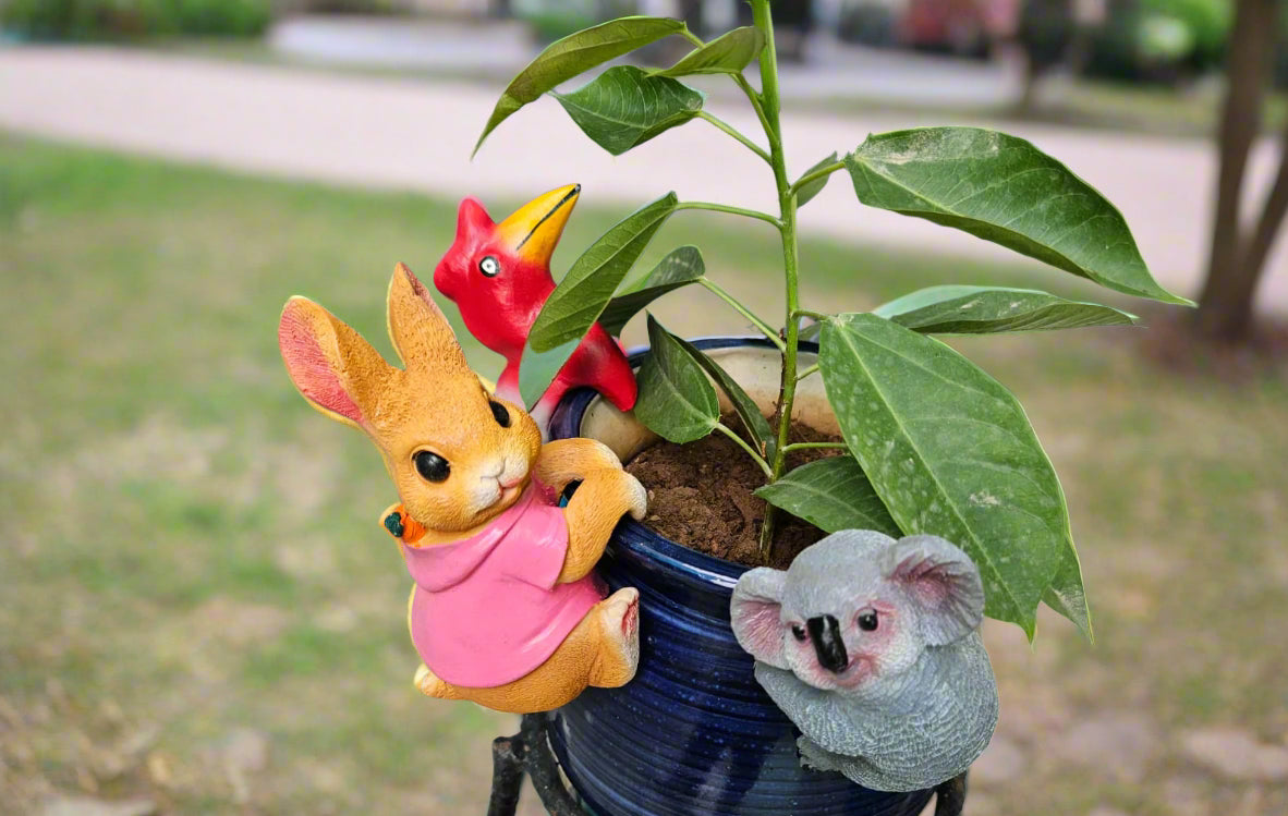 Pot climbers set of 3