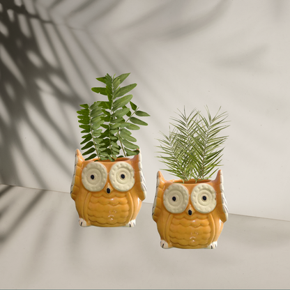 The Wise Owl Planter(Setof 2)
