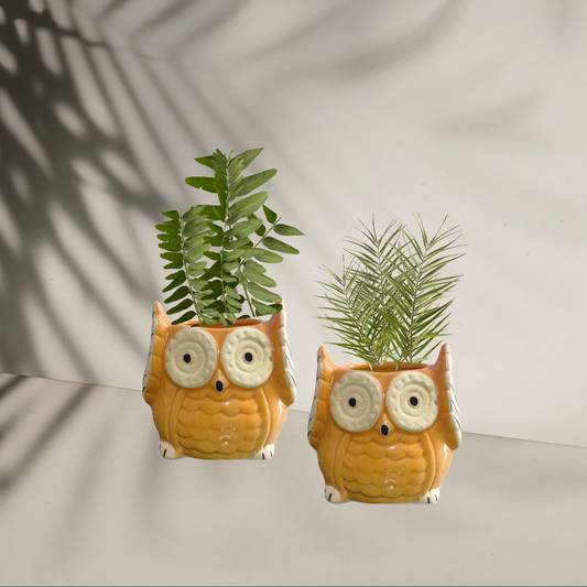 The Wise Owl Planter(Setof 2)