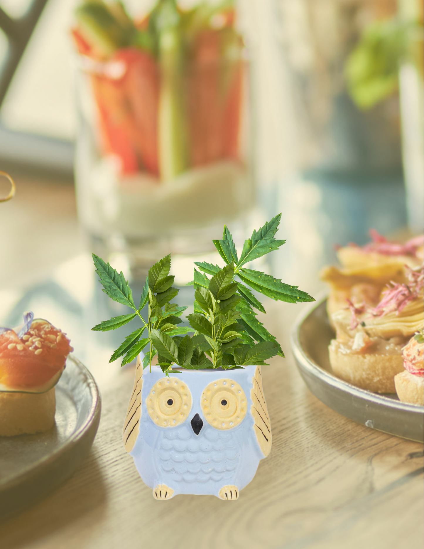 The Wise Owl Planter(Setof 2)