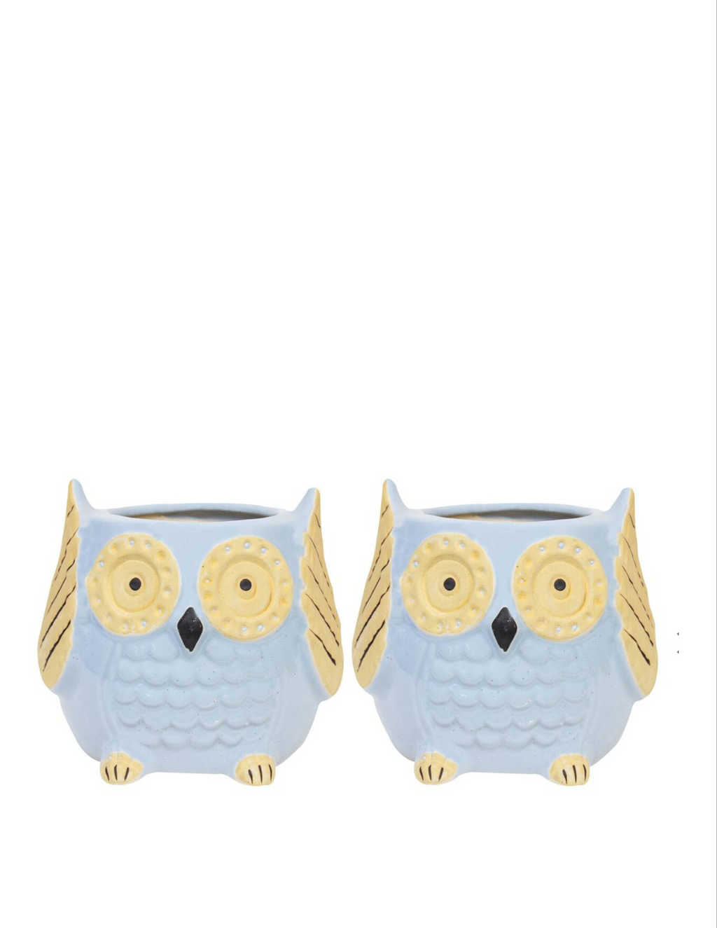 The Wise Owl Planter(Setof 2)
