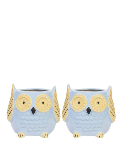 The Wise Owl Planter(Setof 2)