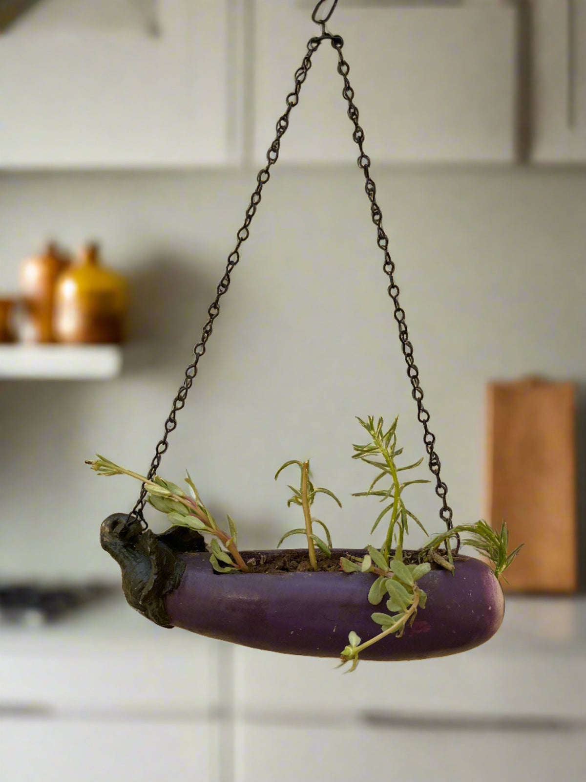 Brinjal Koala hanging pot