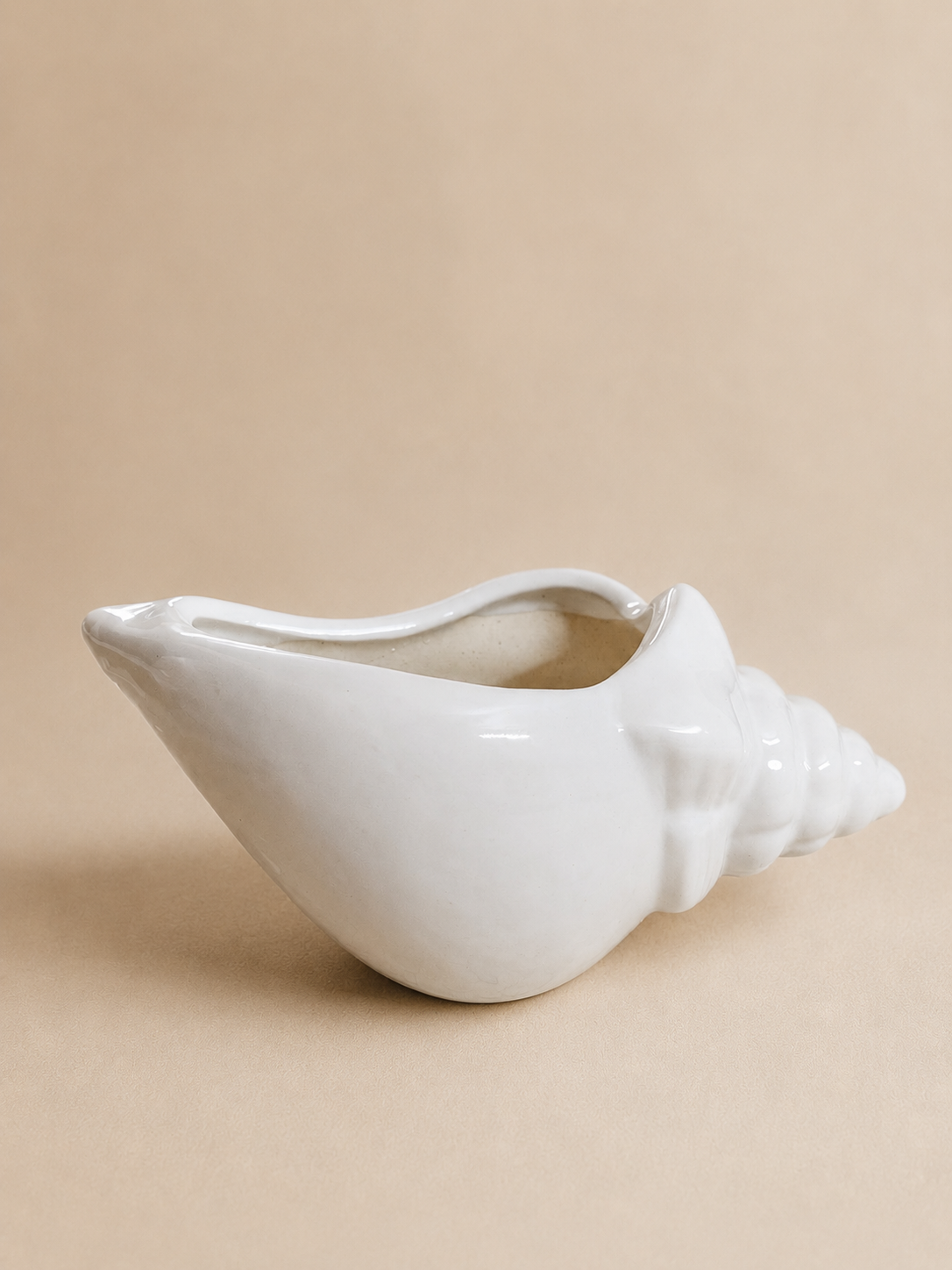 Shell Planter