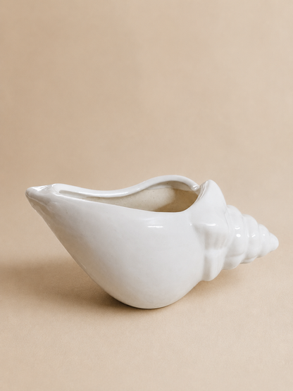 Shell Planter