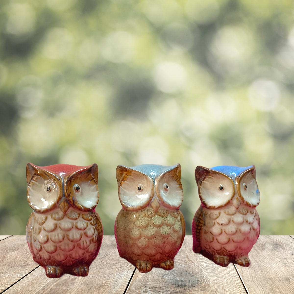 Owls for decor