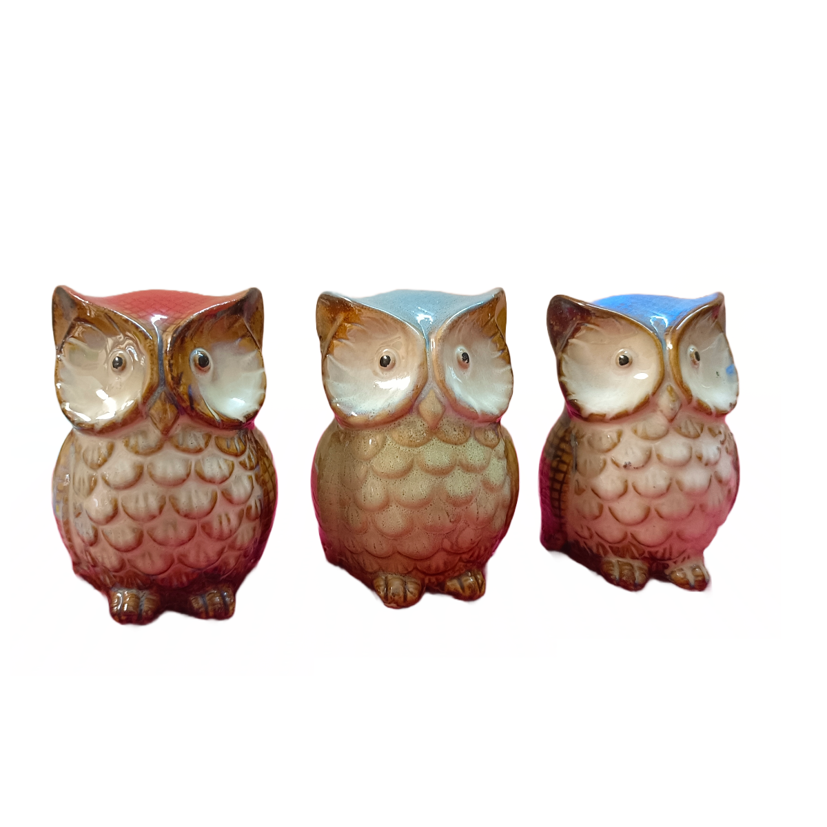 Owls for decor