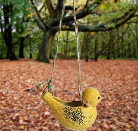 Hanging Bird Planter