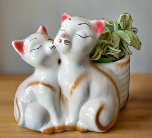 Cutie Cats