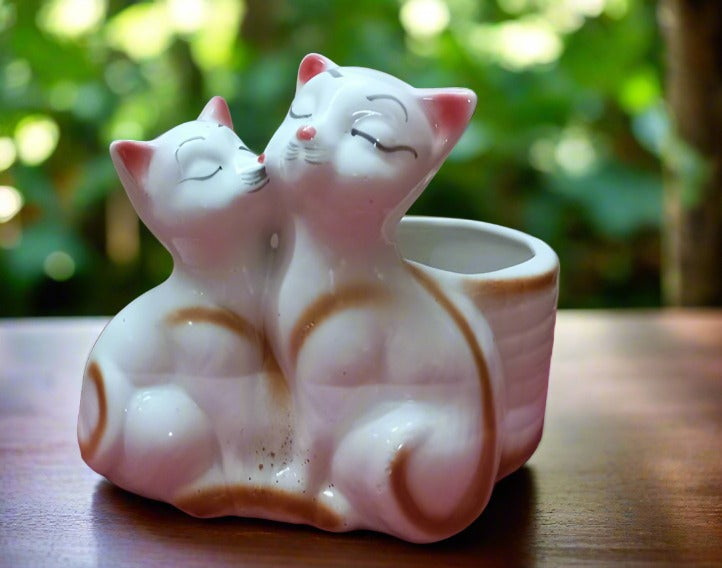 Add some charm to your home with Cutie Cats ceramic pots! These adorable pots not only hold your plants, but also add a touch of whimsy and personality to any room. Perfect for cat lovers and anyone looking to add a little cuteness to their space. Measuring at just the right size, they are perfect for small succulents and herbs. Bring home a little feline fun with Cutie Cats!