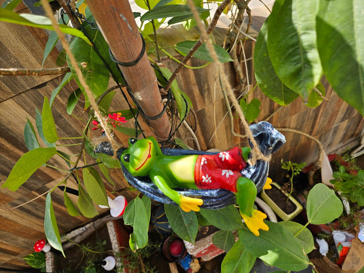 Funky Frog on swing