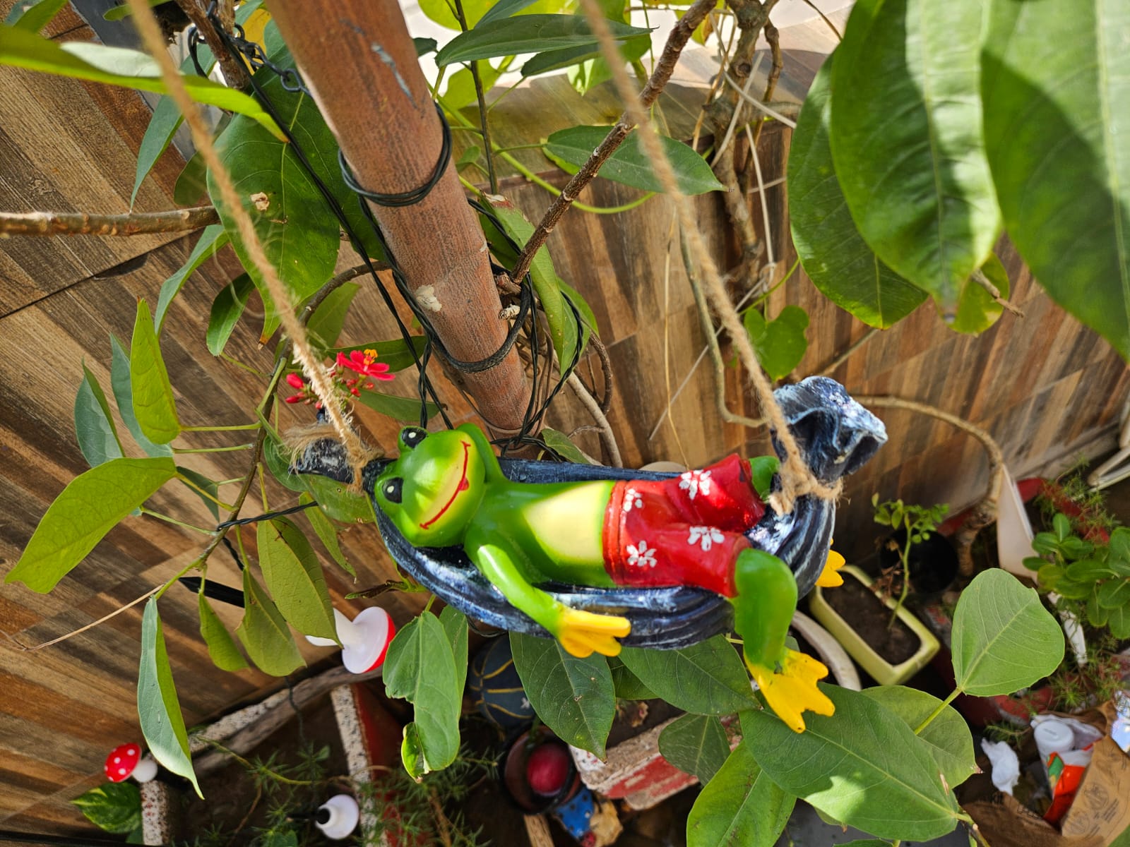 Funky Frog on swing