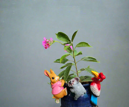 Pot climbers set of 3