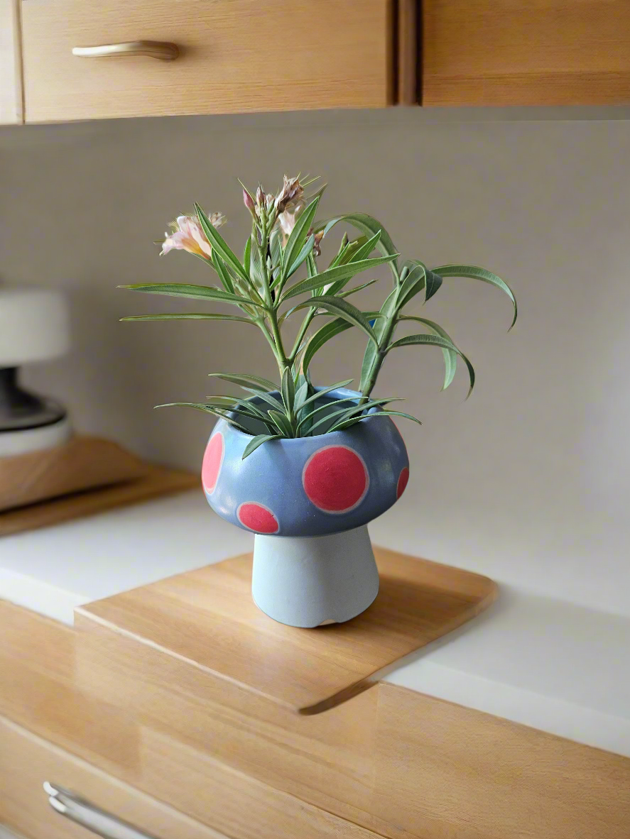 Mushroom pots