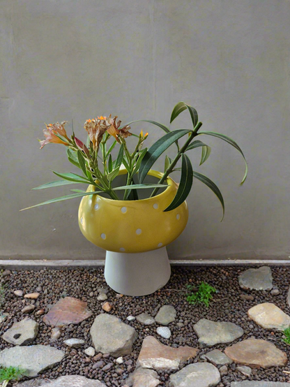 Mushroom pots