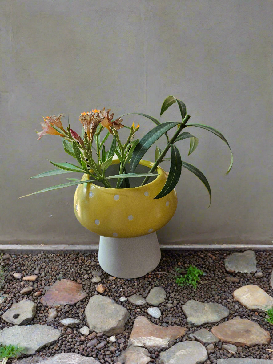 Mushroom pots