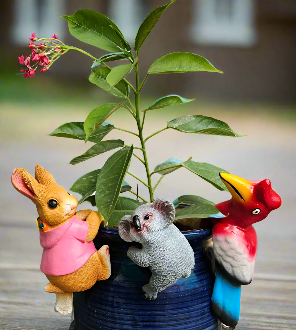 Pot climbers set of 3