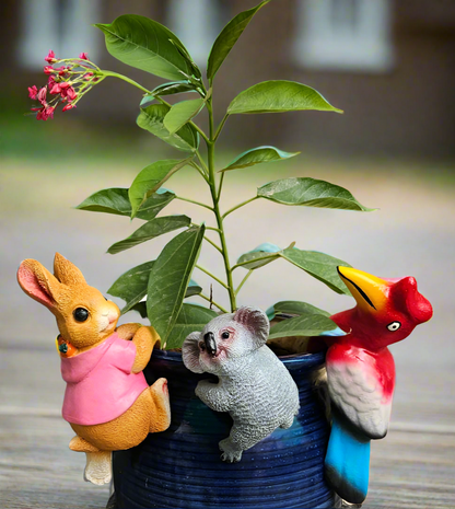 Pot climbers set of 3
