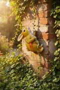 Climbing Bunny