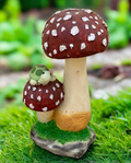Tortoise on Mushrooms