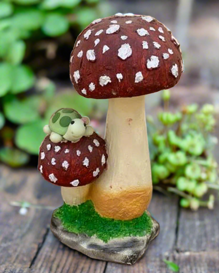 Tortoise on Mushrooms