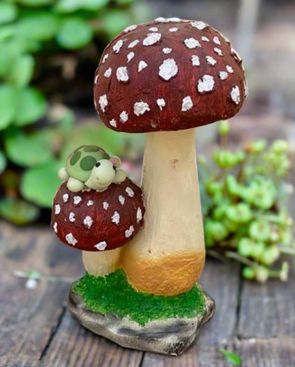 Tortoise on Mushrooms