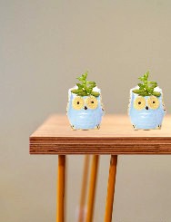 The Wise Owl Planter(Setof 2)