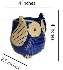 The Wise Owl Planter(Setof 2)