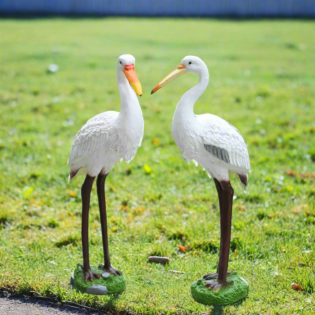 Cranes birds set of 2